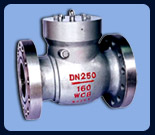 CHECK VALVES